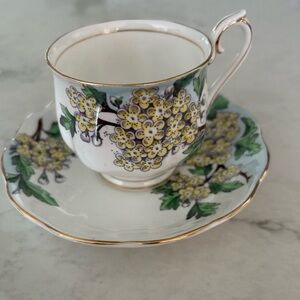 Royal Albert Bone China Teacup & Saucer Flower of the Month Series